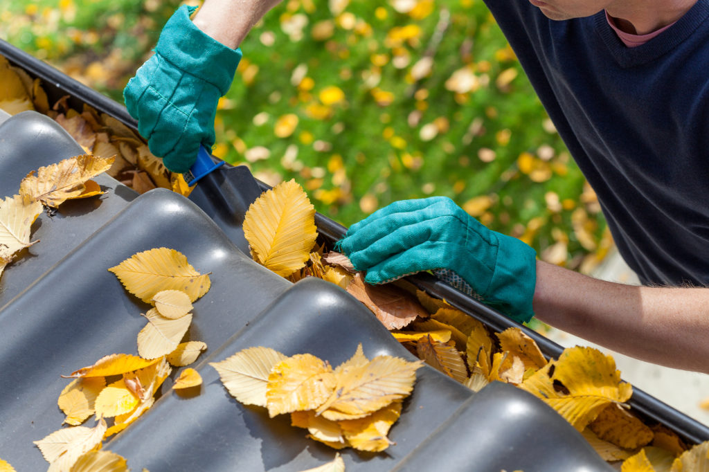 Gutter Cleaning Service 2